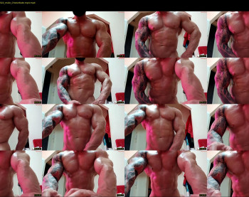 adonis_msc — 17 minute Chaturbate male teen cam video, 720p, Apr 19, 2025