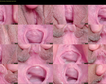 orchidekitty — 120 minute Chaturbate female teen cam video, 720p, Mar 20, 2026